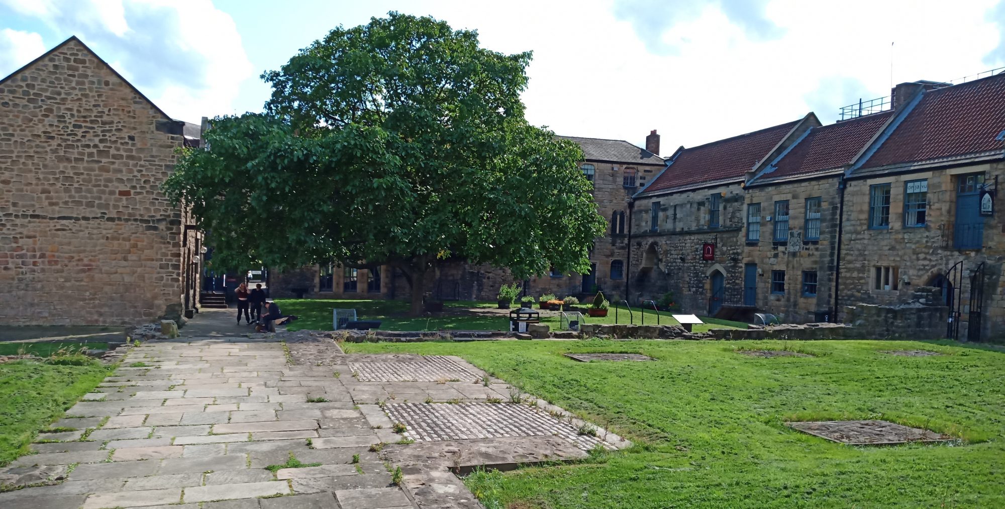 newcastle university walking tour